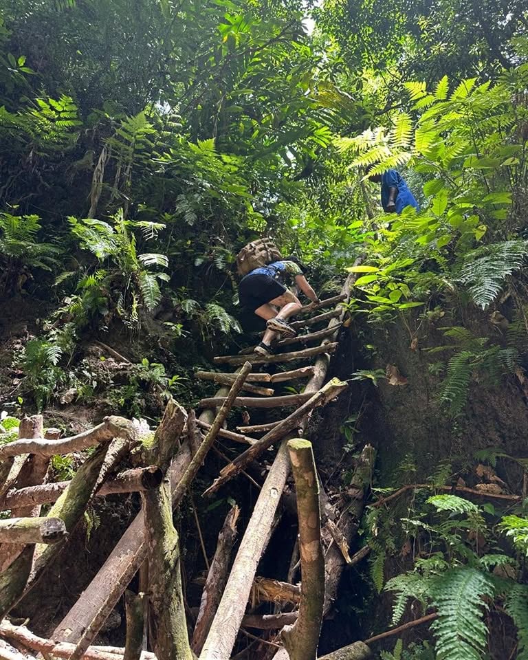 Guided island tour